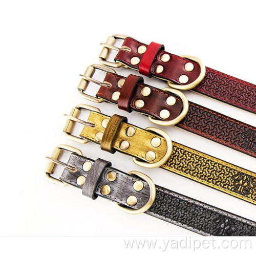 Basic Classic Luxury Padded Leather Pet Collars